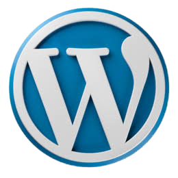Professional web development services
