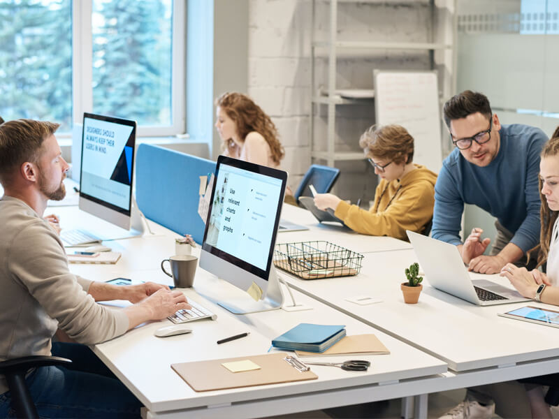 Professional web development services